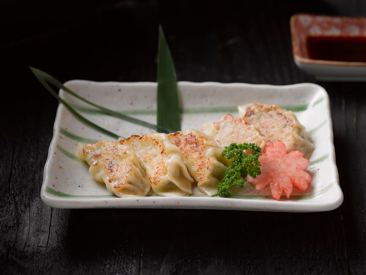 V6. Gyoza (5 pcs)