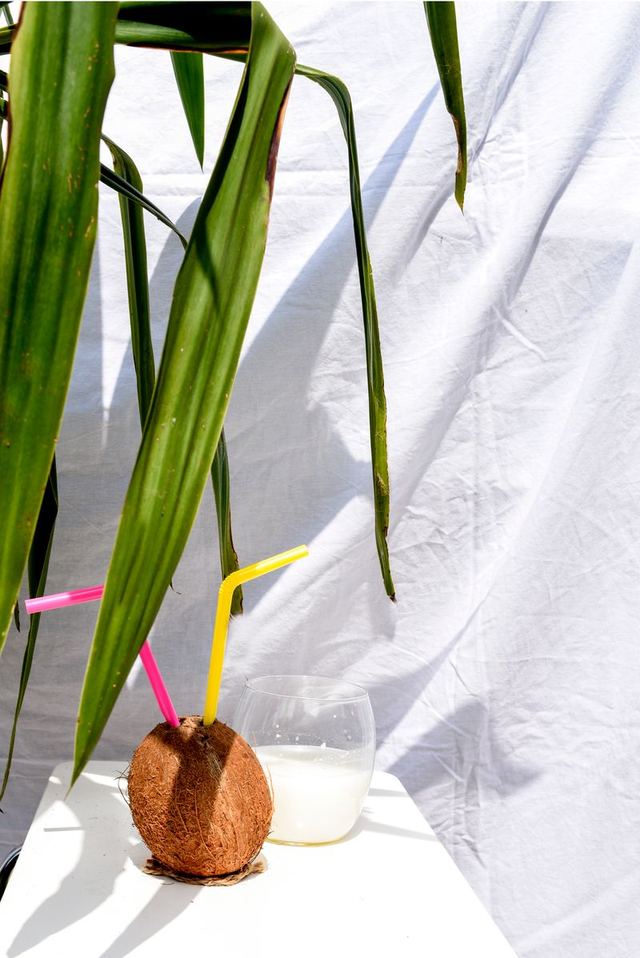 05. Coconut Milk Tea